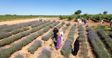 Kırklareli’nde mor turizme ilgi yoğun
