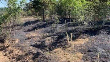 Kırklareli’nde orman yangını: 10 dekar alan ile 5 dekar buğday tarlası zarar gördü

