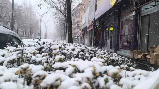 Kırşehir’de kar yağışı etkili oldu
