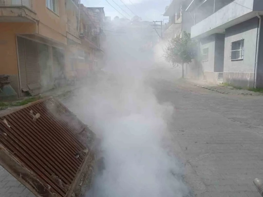 Koçarlı Belediyesi’nden haşere ve yabani otlara erken müdahale
