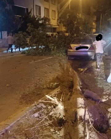 Kontrolden çıkan otomobil refüjdeki ağaçlara çarptı: 2 yaralı
