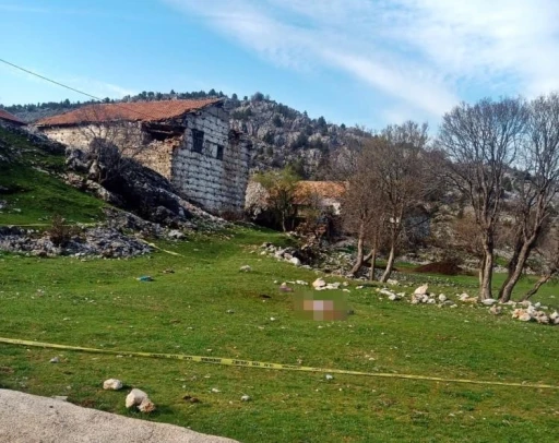 Köpeklerin saldırısında hayatını kaybetmişti, sanığa verilen ceza belli odu
