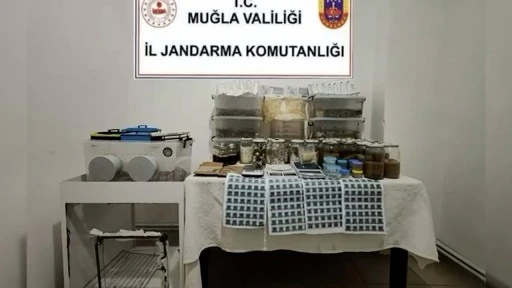 Köyceğiz'de 22 Kilogram LSD Ele Geçirildi