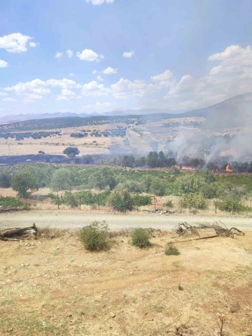 Kulp’ta üzüm bağları ve meyve ağaçları yangında zarar gördü
