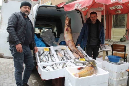 Kuraklık, barajlardaki balık popülasyonu etkiledi
