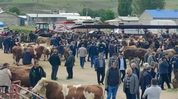 Kurbanlıklar görücüye çıktı
