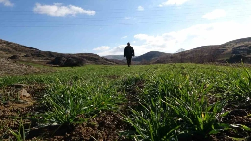 Küresel ısınmanın etkileri Yozgat’taki 40 yıllık çiftçiyi kara kara düşündürüyor
