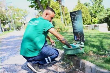 Kuşadası Belediyesi mevsim normalleri üzerinde seyrden sıcaklar nedeniyle sokak hayvanları için sulukların sayısını arttırdı
