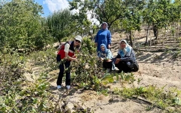 Kütahya’da ahududu üreticisi kadınlar Bursa Tarım İşletmesinde
