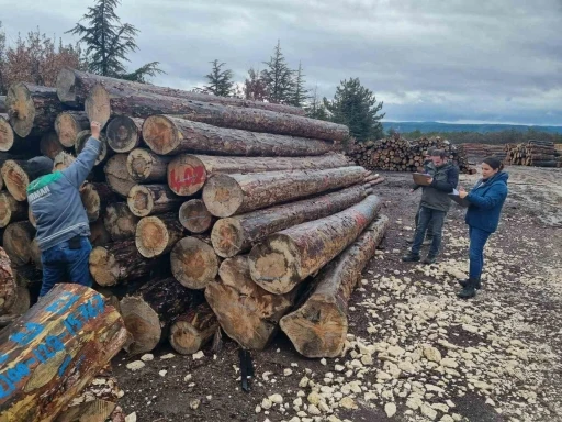 Kütahya’da orman emvallerinin yıl sonu sayımları yapıldı
