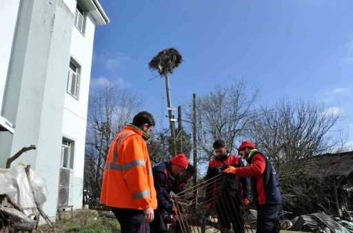 Rüzgarla Eğilen Leylek Yuvası Yeniden Onarıldı