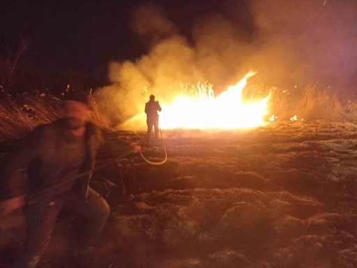 Malatya’da sazlık alanda yangın
