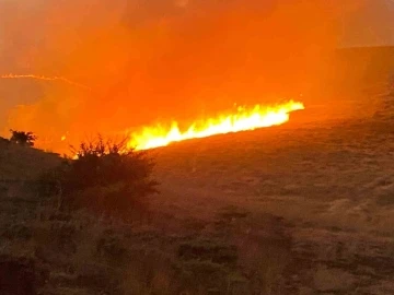 Malatya’da yüzlerce dönüm alanda anız yangını
