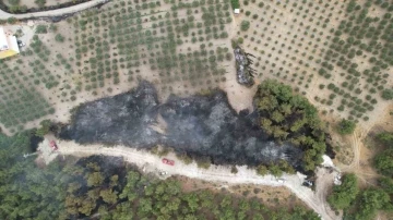 Manisa’daki orman yangını köye sıçramadan kontrol altına alındı
