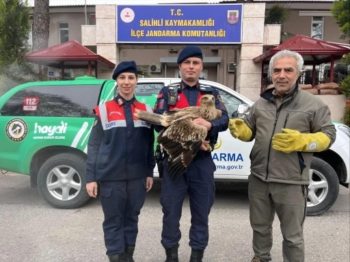 Manisa jandarma Kızıl Şahin’e sahip çıktı
