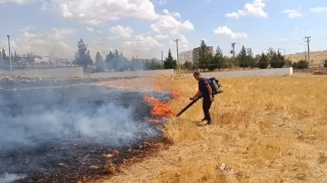 Mardin’de çıkan ot yangını söndürüldü
