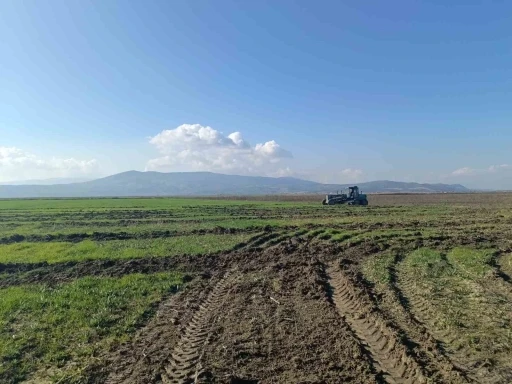 Marmara Gölü’ndeki izinsiz ekili alanlara müdahale
