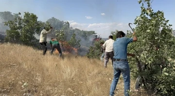 Mazıdağı’nda 20 dönüm ekili arazi küle döndü
