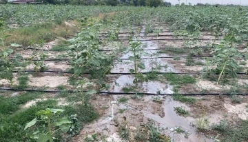 Melikgazi Belediyesi, su tasarruf sistemleri ile verimliliği artırıyor
