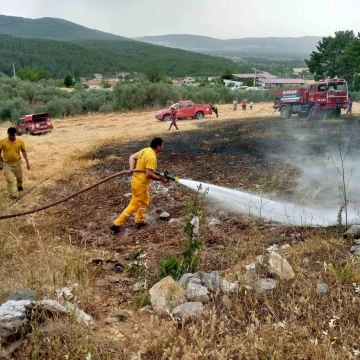 Menteşe’de tarlada çıkan ot yangın korkuttu