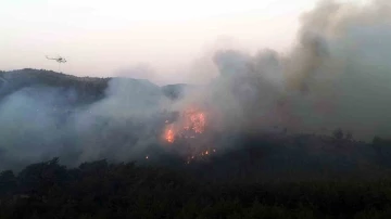 Milas yangını devam ediyor
