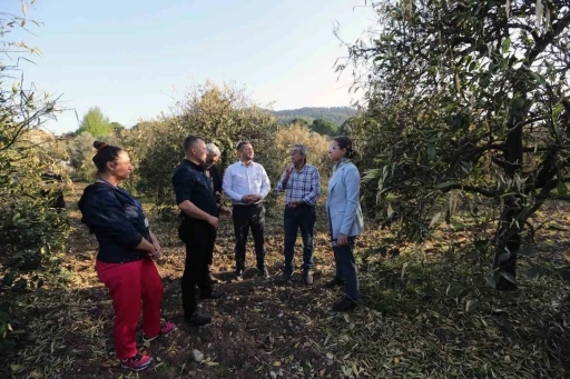 Muğla Büyükşehir’den ‘Don’dan zarar gören üreticilere destek
