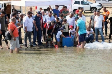 Muğla’daki baraj ve göletlere 370 bin sazan yavrusu bırakıldı
