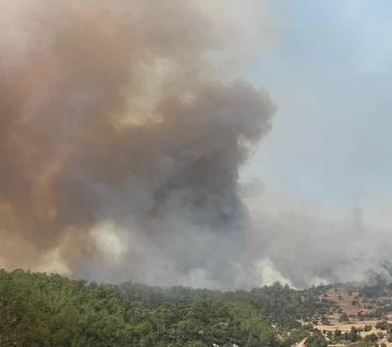 Muğla’daki orman yangınını söndürme çalışmaları devam ediyor
