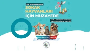 Muğla'dan Sokak Hayvanları İçin Özel Müzayede