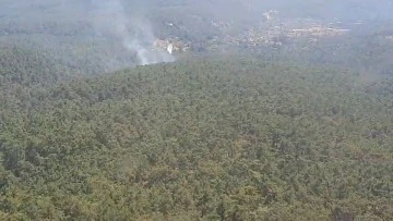 Muğla Menteşe'de Orman Yangını Kontrol Altına Alındı