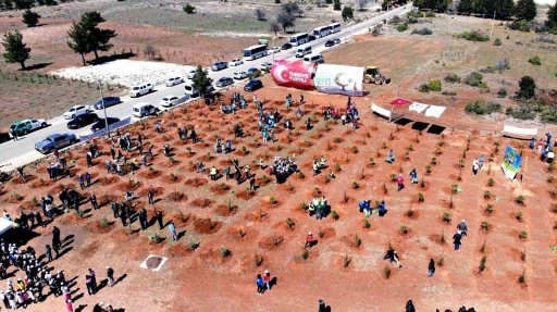 11 Kasım’da Binlerce Fidan Toprakla Buluşacak