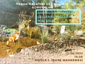 Muğla Sandras Dağı’nda çevreciler kazandı