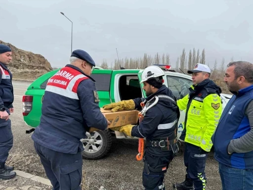 Muş’ta elektrik tellerine sıkışan puhu kuşu kurtarıldı
