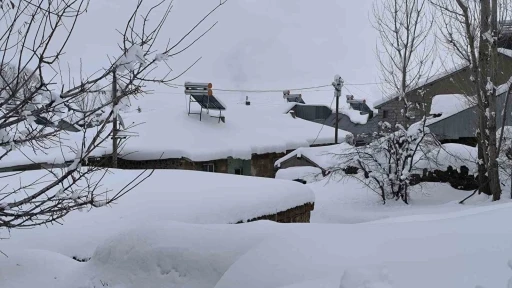 Muş’ta yüksek kesimdeki köyler kara gömüldü
