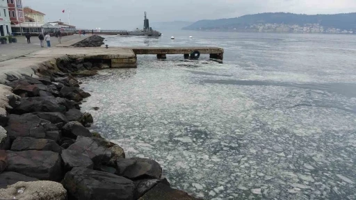 Müsilaj Çanakkale Boğazı’nı kaplamaya başladı
