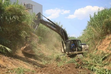 Balavca Deresinde 6 Bin Metrelik Temizlik Çalışması Başladı