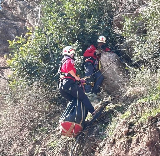 MARMARİS’TE KEÇİ VE YAVRULARINI AKUT KURTARDI