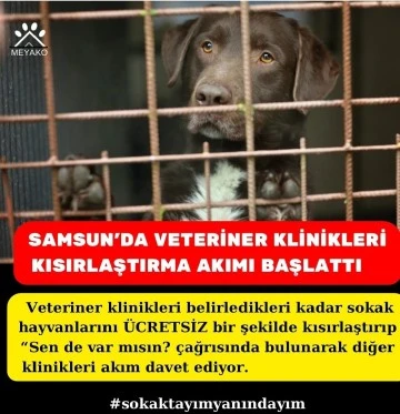 SAMSUN'DA VETERİNER KLİNİKLERİ KISIRLAŞTIRMA AKIMI BAŞLATTI