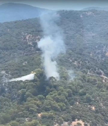 ORTACA'DA KORKUTAN ORMAN YANGINI