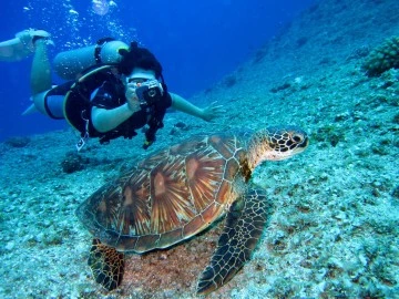 MUĞLA'NIN SUALTI CENNETİ