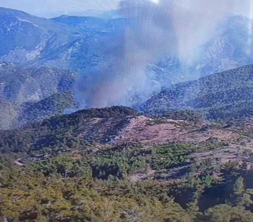  KÖYCEĞİZ'DE ORMAN YANGINI DEVAM EDİYOR