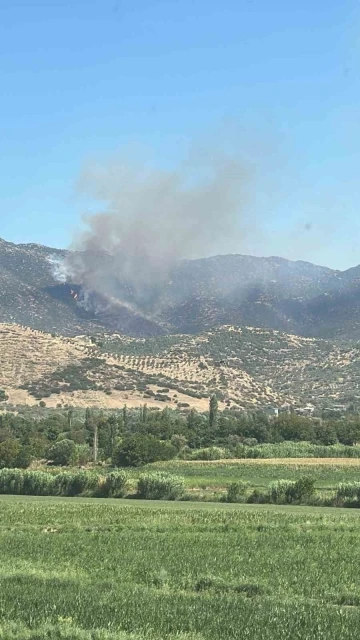 Nazilli’de makilik yangınını söndürme çalışmaları devam ediyor
