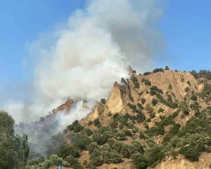 Nazilli'de Makilik ve Zeytinlik Alanda Yangın