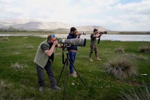 Niğde’nin kuş envanterine yeni bir kuş türü daha eklendi
