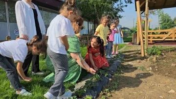 Öğrenciler doğayı ve sebzeleri tanıyor
