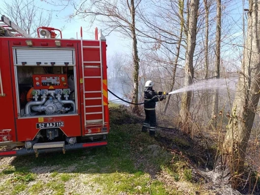 Ordu’da bahçe ve anız yangınları arttı
