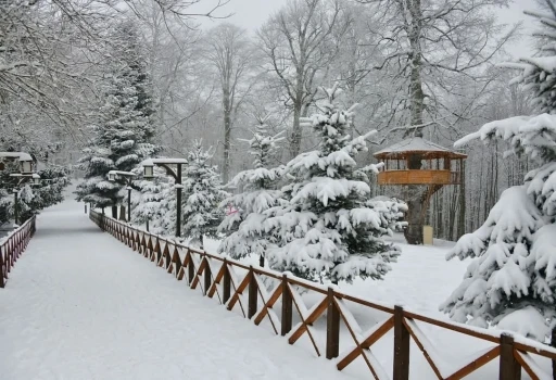 Ordu’nun 17 ilçesinde eğitime kar engeli
