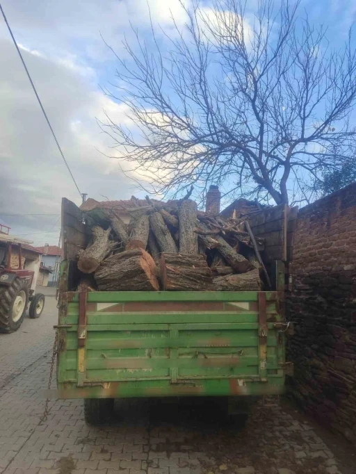 Ormanda ağaç kesen şüpheli yakalandı
