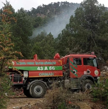 Ormanlık alana düşen yıldırım yangına neden oldu
