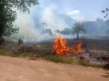 Ormanlık alanda çıkan yangın büyümeden söndürüldü
